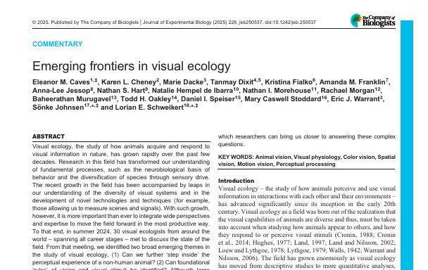 A screenshot of the first page of the PDF of Emerging frontiers in visual ecology, by  Eleanor M. Caves, Karen L. Cheney, Marie Dacke, Tanmay Dixit, Kristina Fialko, Amanda M. Franklin, Anna-Lee Jessop, Nathan S. Hart, Natalie Hempel de Ibarra, Nathan I. Morehouse, Rachael Morgan, Baheerathan Murugavel, Todd H. Oakley, Daniel I. Speiser, Mary Caswell Stoddard, Eric J. Warrant, Sönke Johnsen and Lorian E. Schweikert. The publishing details state: © 2025. Published by The Company of Biologists | Journal of Experimental Biology (2025) 228, jeb250537. doi:10.1242/jeb.250537. The first sentence of the Abstract says, Visual ecology, the study of how animals acquire and respond to visual information in nature, has grown rapidly over the past few decades. 