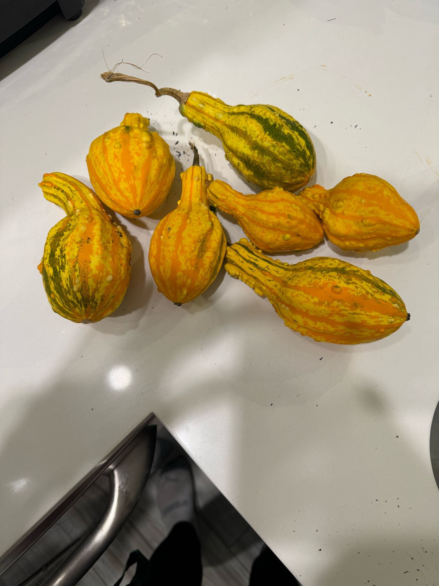 Photo of 7 mostly yellow and green decorative gourds