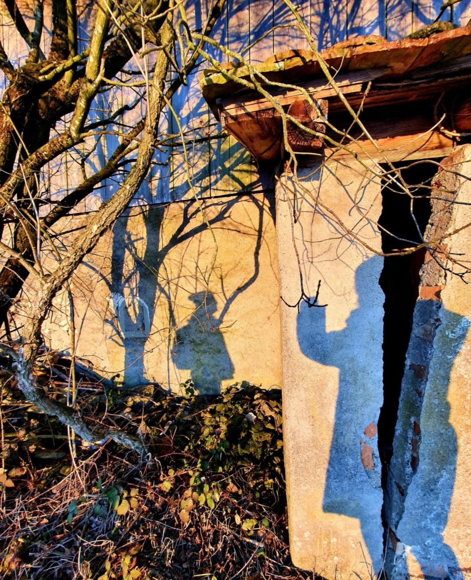 Foto: Cold, blue shadows on the warm, sand coloured, broken facade of an old, (swiss) farmhouse: The shadows: A little man with a heavy backpack and a dwarf-like cap is staring at a giant (woman) who lifts up her handless arm towards him. Her uplifted index is a little twig. A black gap is splitting this huge shadow from above, all the way through. – Some leafless trees, branches, bare twigs, and cushions of dead leaves on the soil.