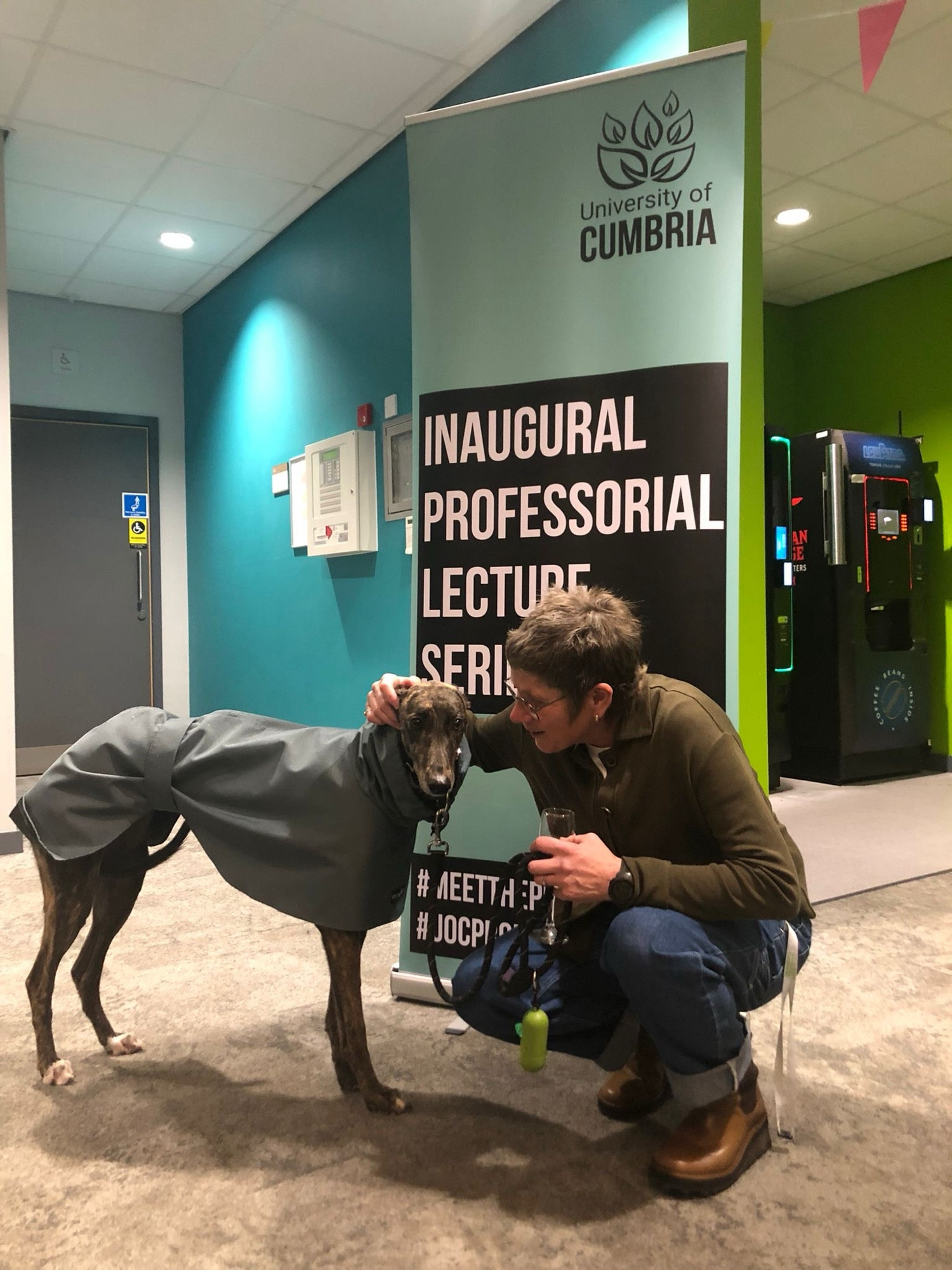 Greyhound in a raincoat, with human companion