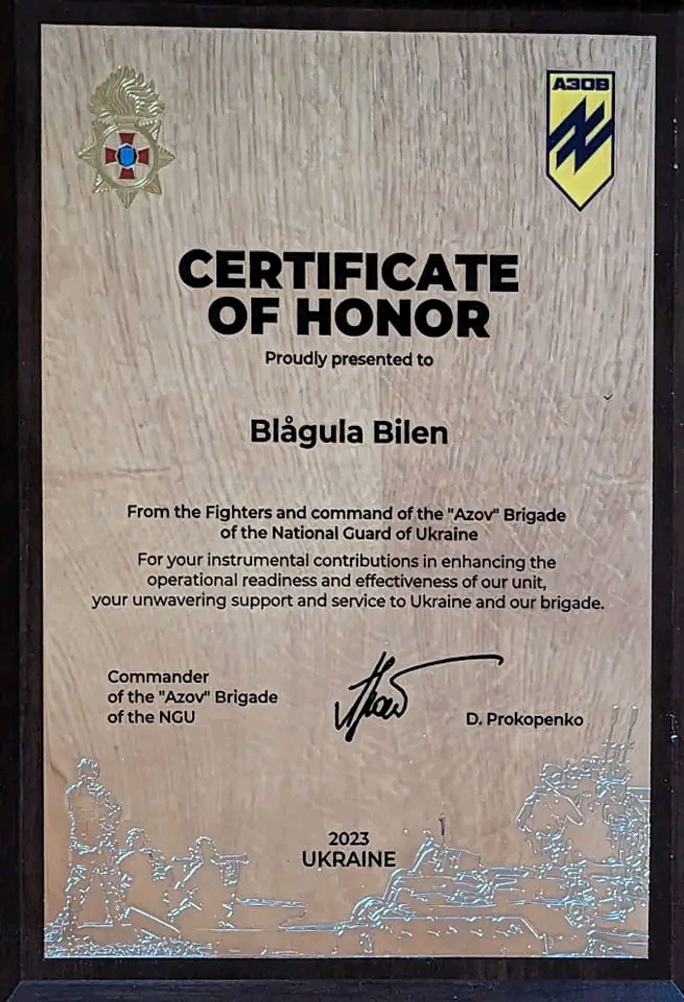 Certificate of honor from Azov