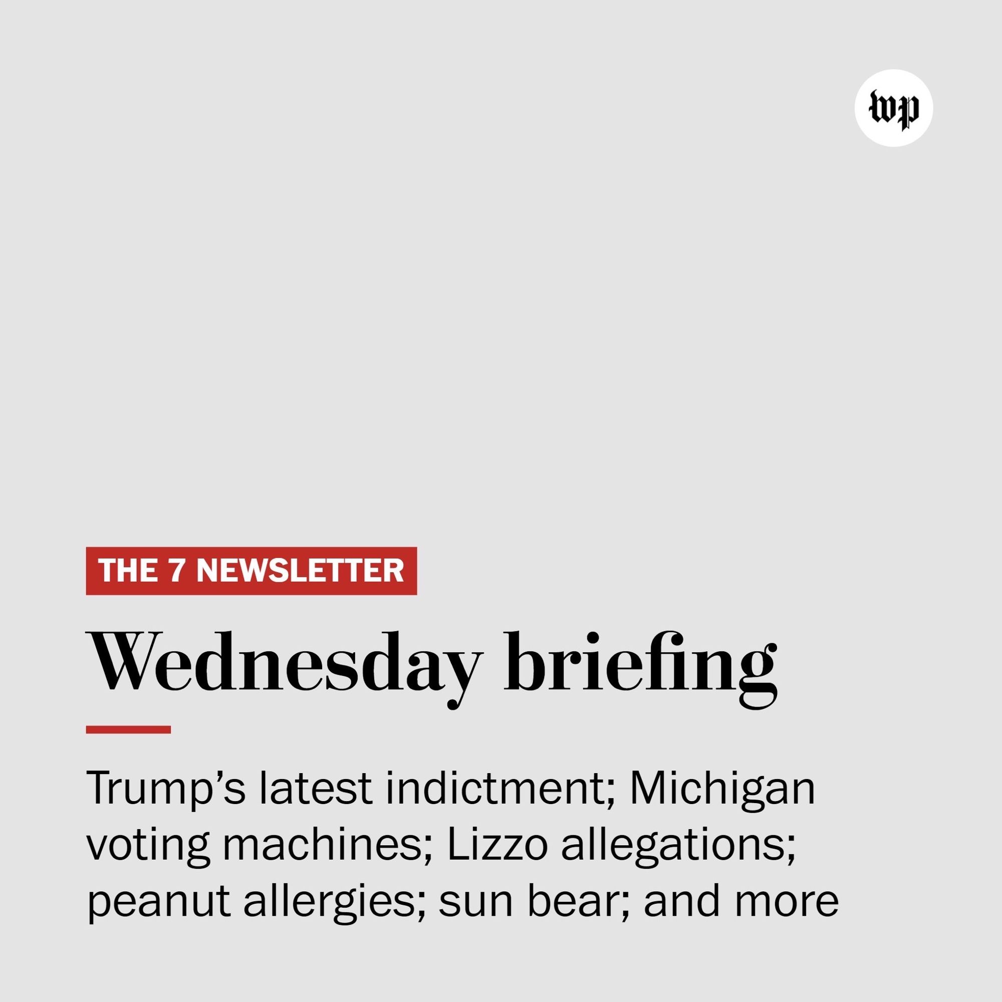 Text reads: “The 7 newsletter Wednesday briefing. Trump’s latest indictment; Michigan voting machines; Lizzo allegations; peanut allergies; sun bear; and more