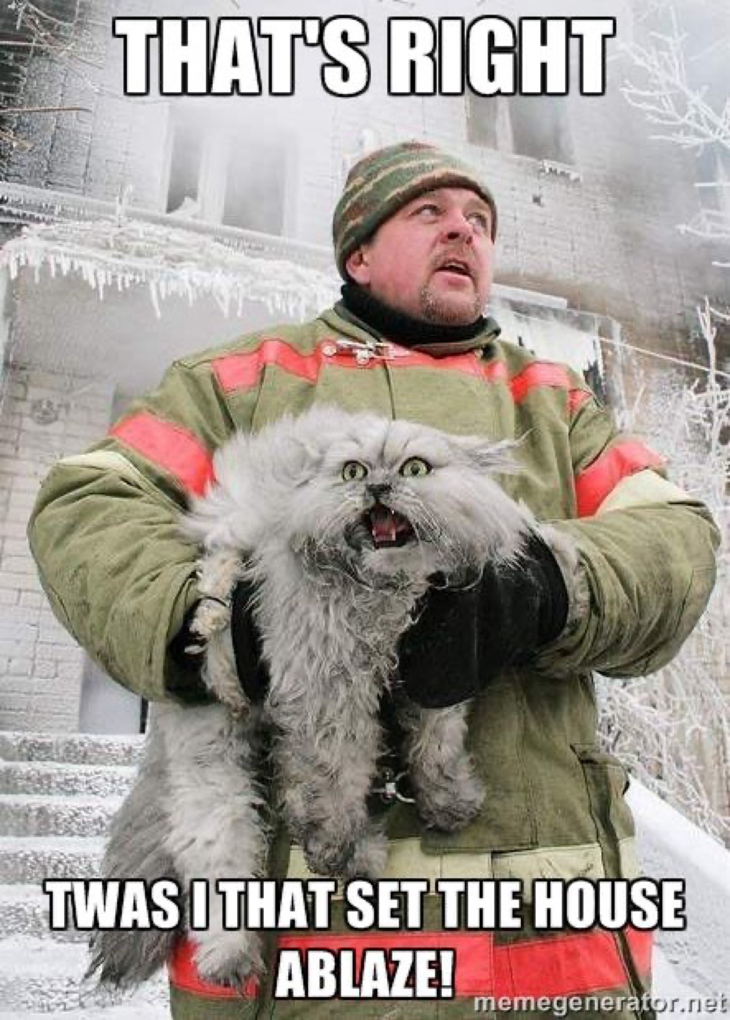 “That’s right, Twas I that set the house ablaze!” meme with wild looking cat being rescued by a fireman from a burnt out building.