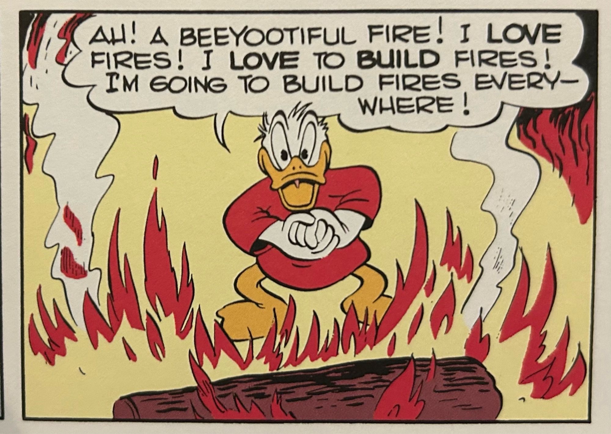 A comic panel showing Donald Duck (shortly after getting a blow to his head) standing in front of a burning log, with a gleeful smile on his face, shouting "Ah! A beeyootiful fire! I love fires! I love to build fires! I'm going to build fires everywhere!"