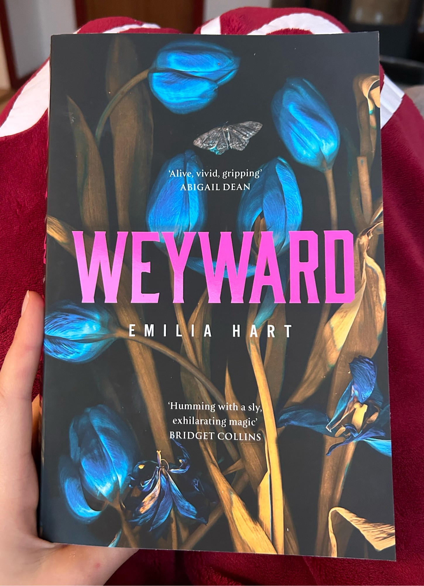 A photo of the book „Weyward“ by Emilia Hart.