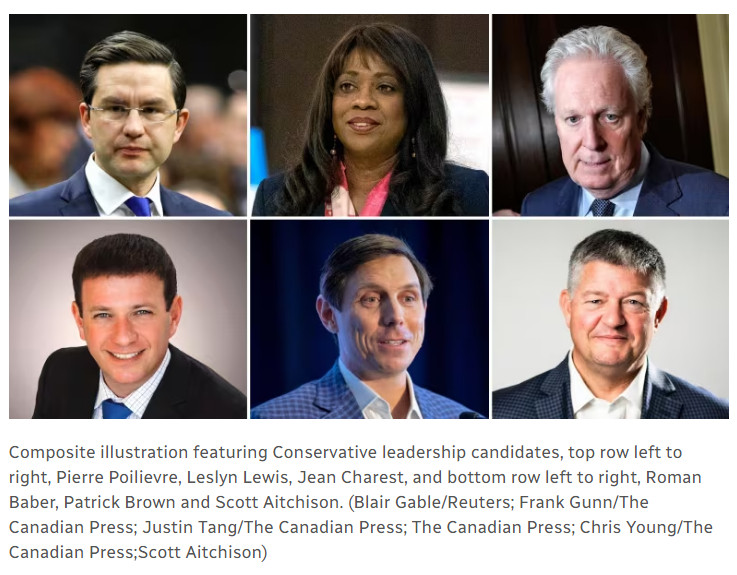 Composite illustration featuring Conservative leadership candidates, top row left to right, Pierre Poilievre, Leslyn Lewis, Jean Charest, and bottom row left to right, Roman Baber, Patrick Brown and Scott Aitchison. (Blair Gable/Reuters; Frank Gunn/The Canadian Press; Justin Tang/The Canadian Press; The Canadian Press; Chris Young/The Canadian Press;Scott Aitchison)

https://www.cbc.ca/news/politics/conservative-leadership-race-social-conservative-1.6438257