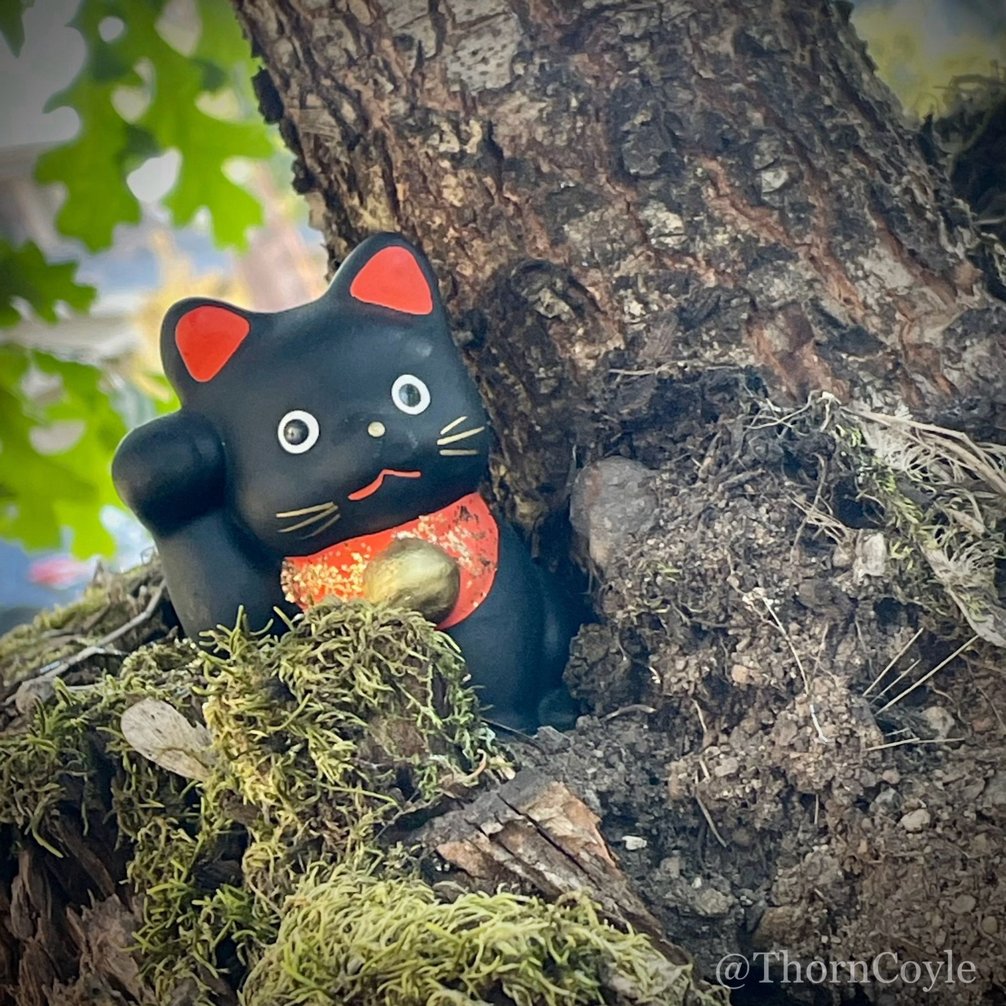 A small black ceramic Japanese lucky cat with one paw raised to wave, red ears, and a red and gold bib. Statue is tucked against the base of a tree.