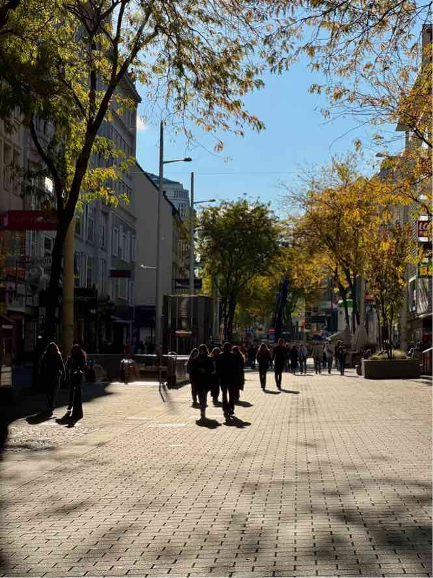 Mariahilfer Straße im Herbstlicht mit vielen Fußgehenden