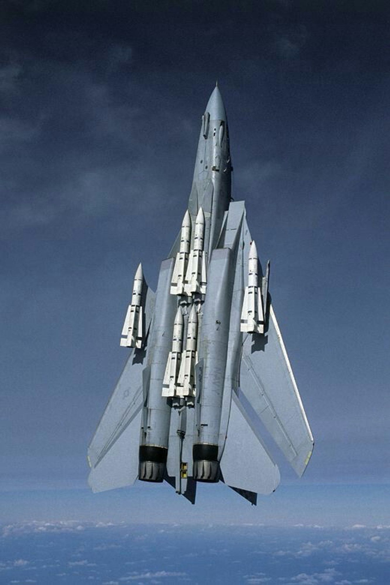 Underside of an F-14 flying straight up