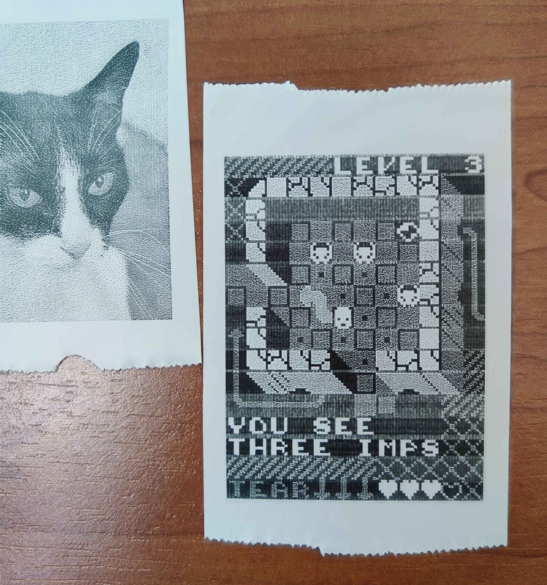 Slips of thermal printer paper with a photo of the prettiest black and white cat in the world and a small dungeon.