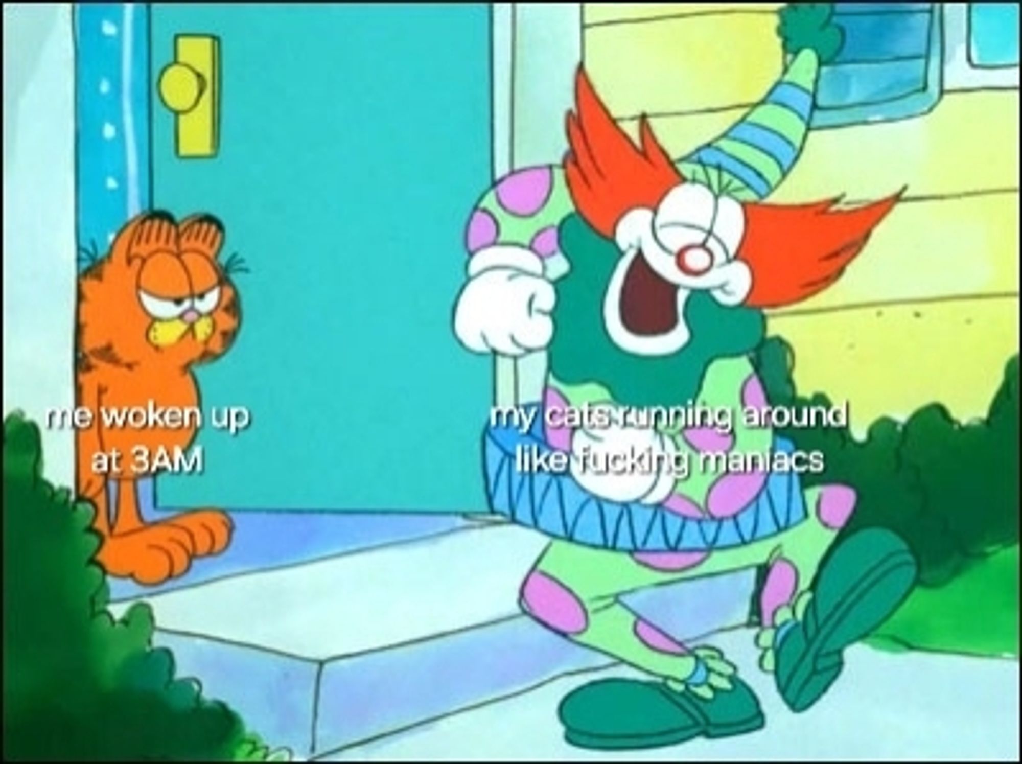 Garfield the cat angrily staring at a dancing Blinky the Clown outside his front door. Garfield is labeled "me woken up at 3AM" and Blinky us labeled "my cats running around like fucking maniacs"