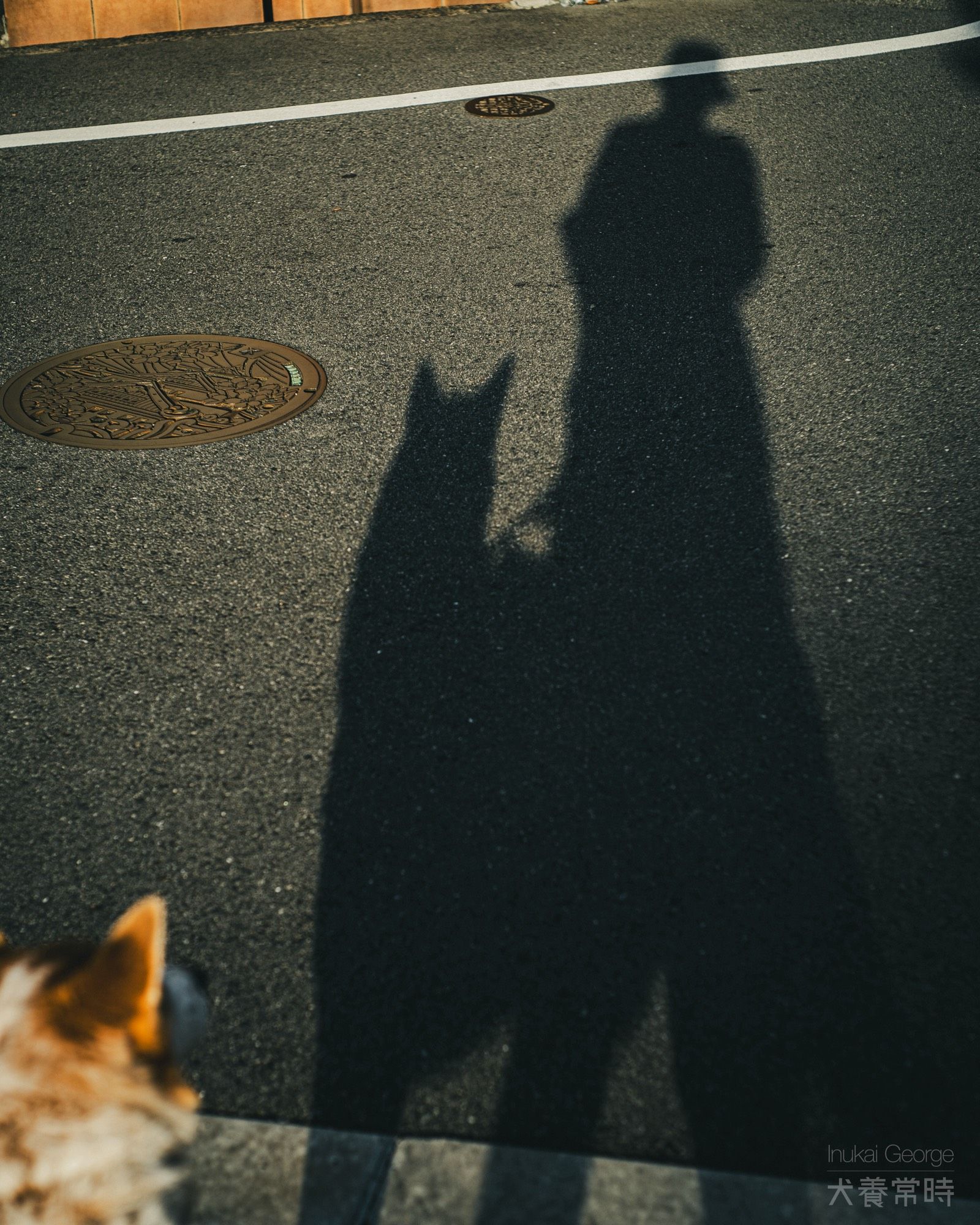 地面に落ちる愛犬と私の影