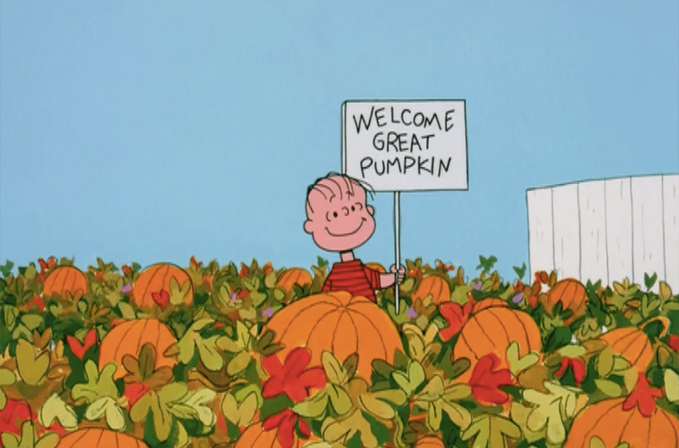Linus waiting for the Great Pumpkin.