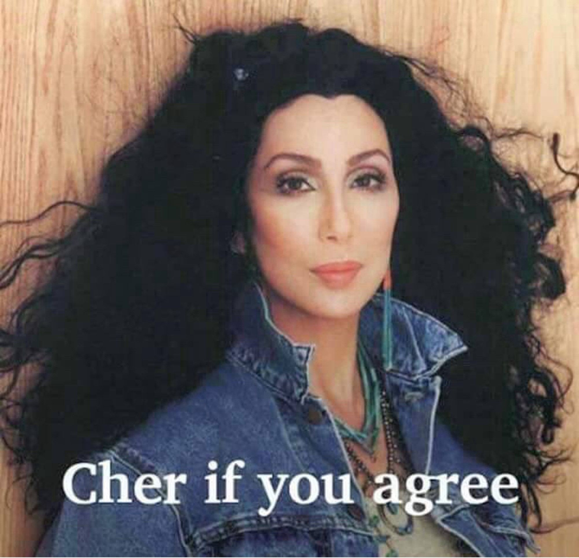 A picture of Cher
The caption reads "Cher if you agree"