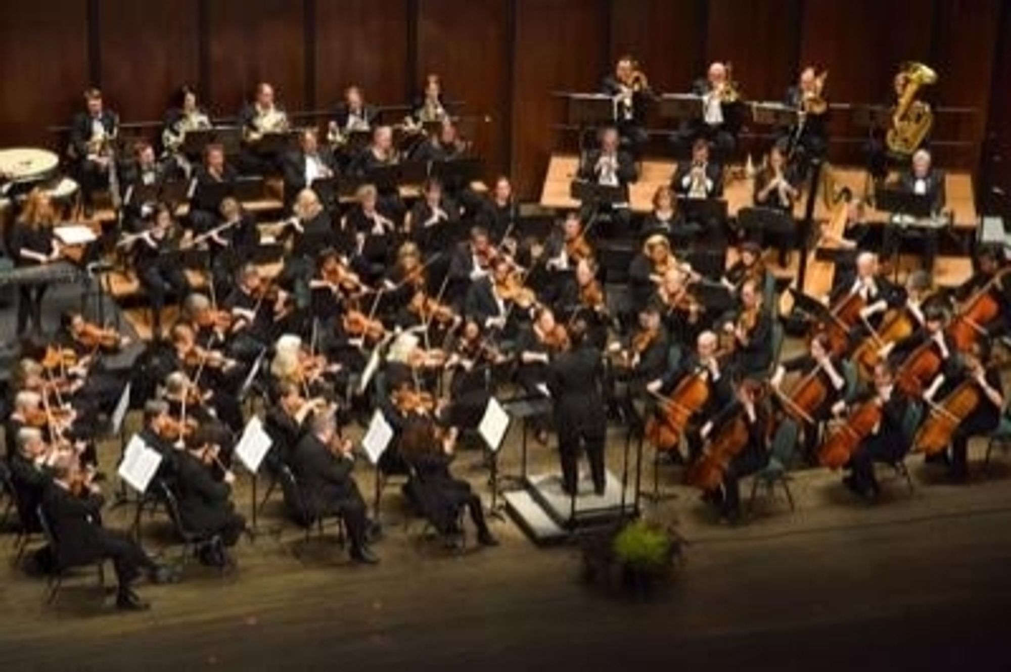 An image of a full orchestra being conducted during a performance.