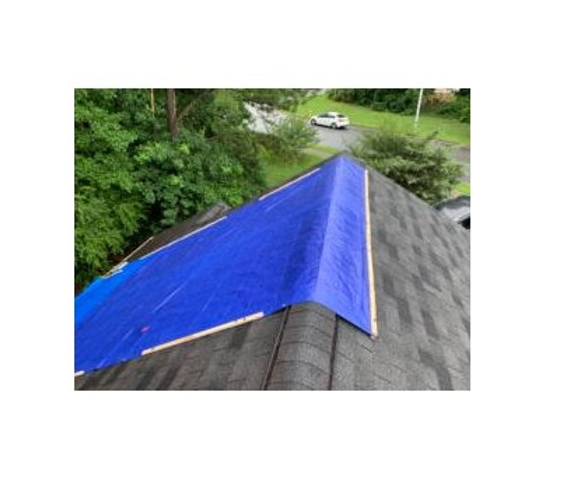 Roof Tarps