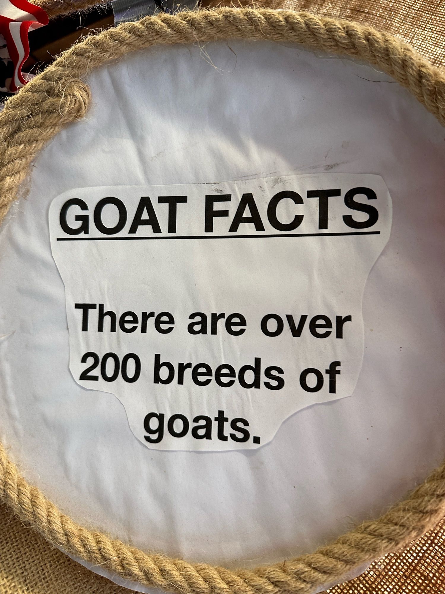 A sign reads “goat facts there are over 200 breeds of goats.”