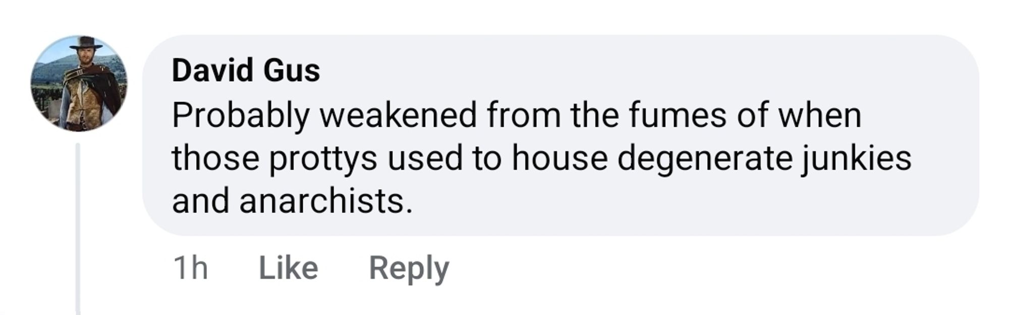 A screenshot of a Facebook comment from somebody named David Gus reads: "Probably weakened from the fumes of when those prottys used to house degenerate junkies and anarchists."