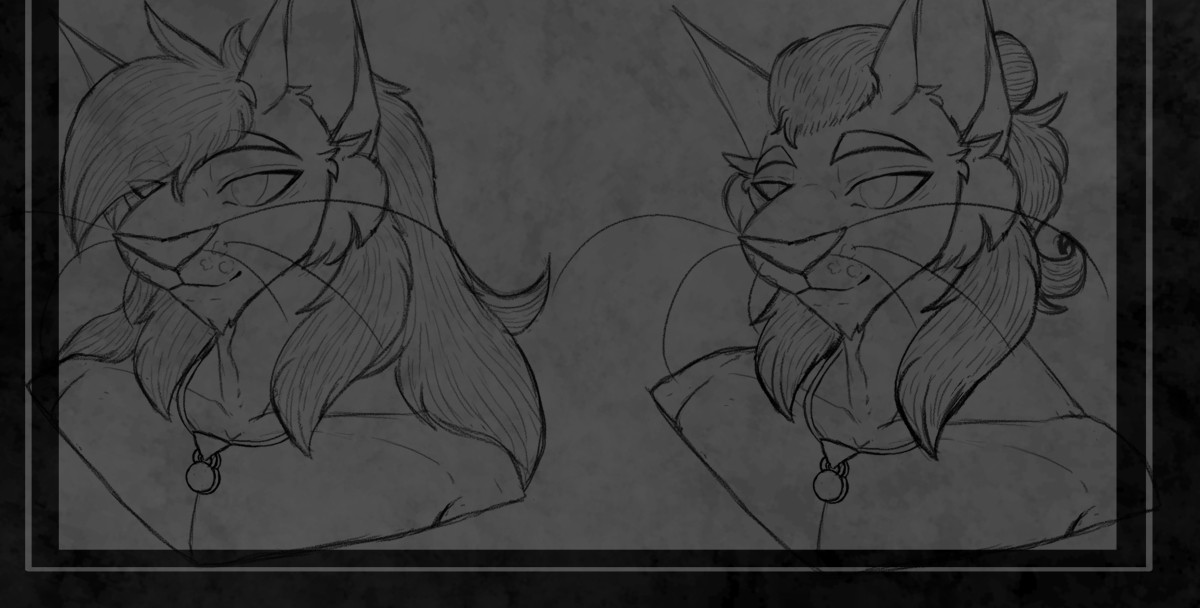 A display of Paws' two main hair styles. The left is his mullet, and the right is his man bun.