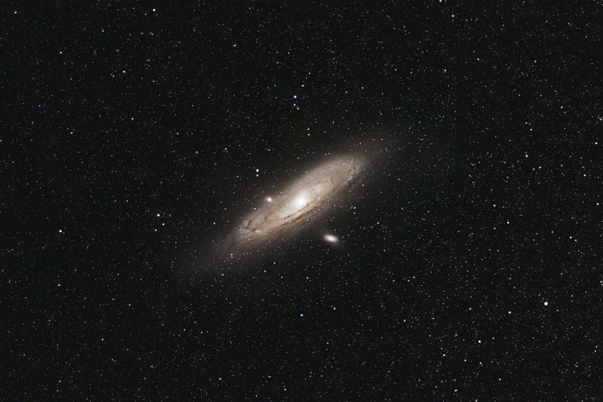 M31 photographed from my backyard. Nikon D5300 (full spectrum), Samyang/Rokinon 135mm @ F2.8. 169x90s exposures tracked with Star Adventurer, processed in PixInsight.