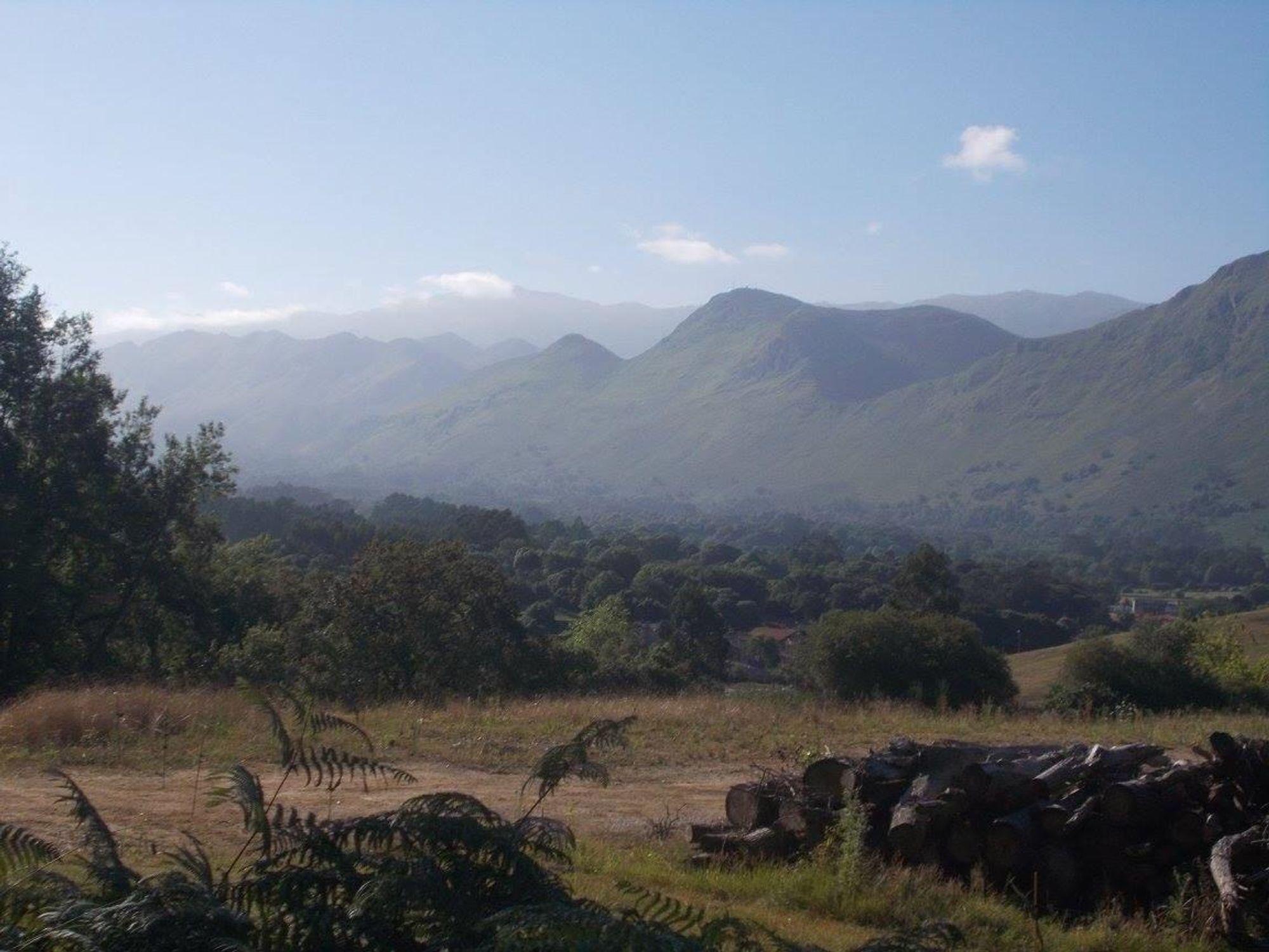 A scenic view of rolling green hills and mountains under a clear blue sky, with some trees and a stack of logs in the foreground.