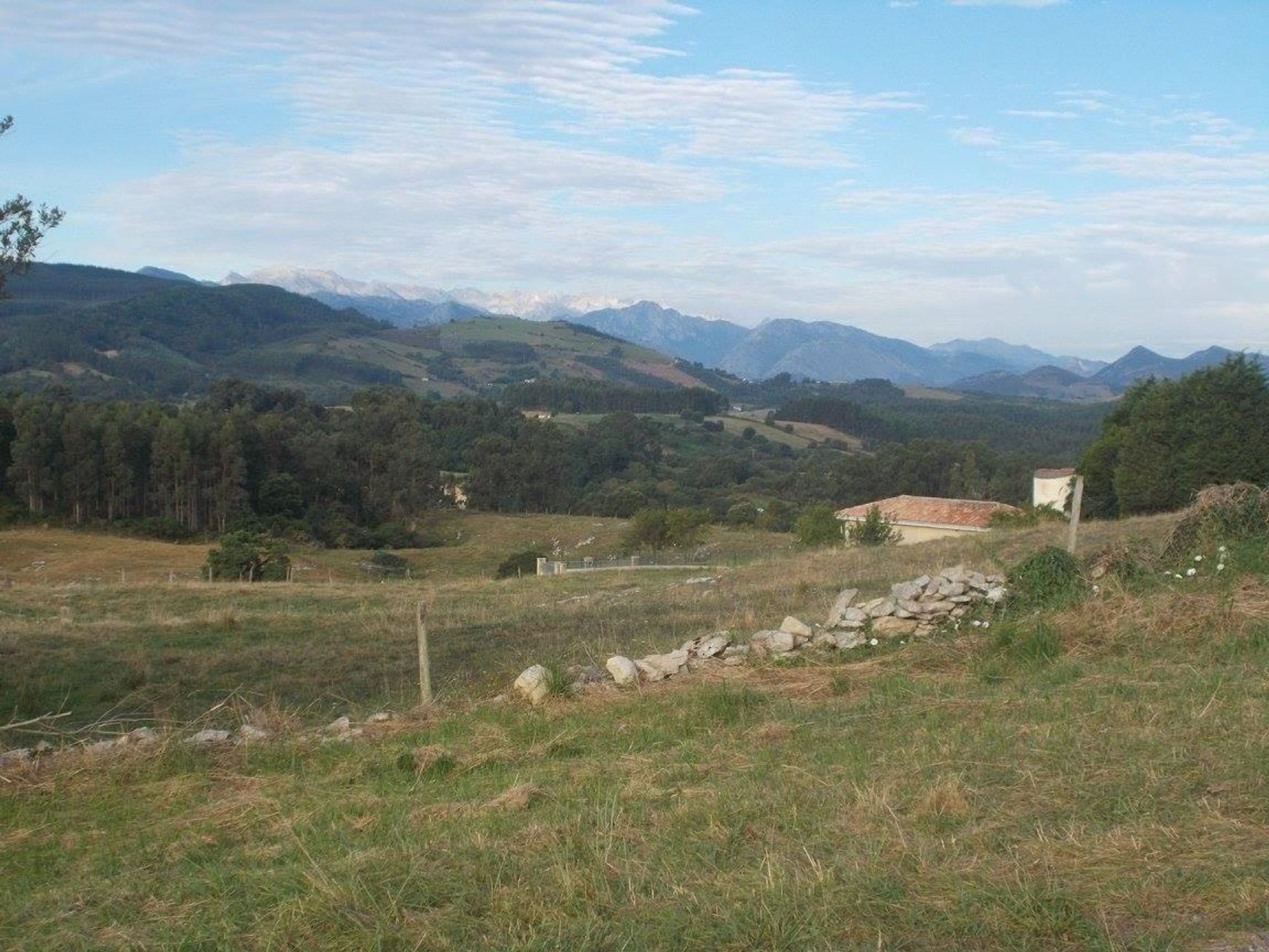 A scenic landscape featuring rolling hills, a sparse forest of tall trees, and distant mountains under a partly cloudy sky. A stone wall and grassy fields are in the foreground.