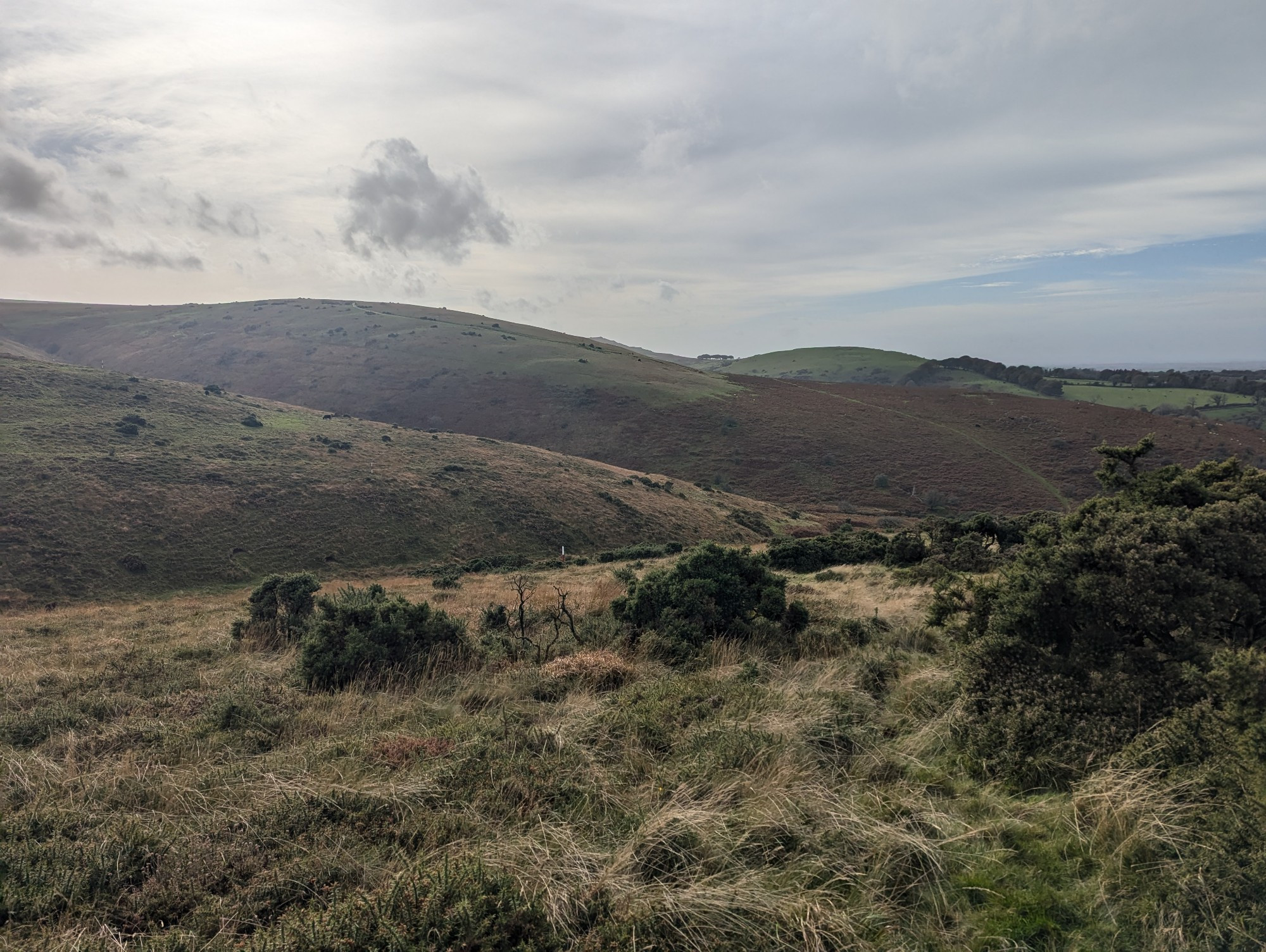 Edge of Dartmoor looking towards West Mill Tor