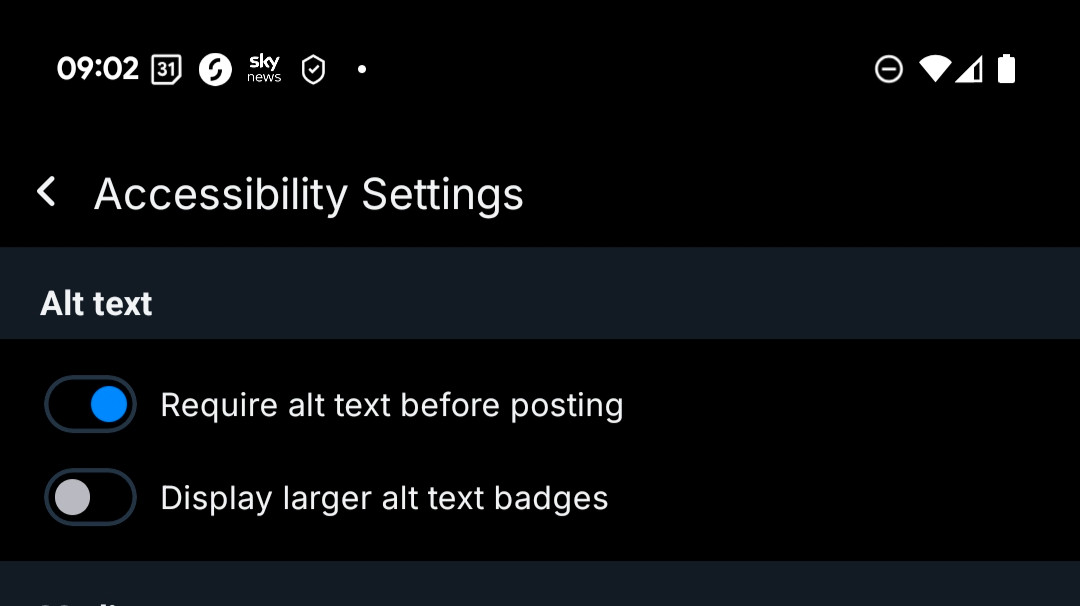 Phone print screen of the Accessibility Options on Bsky for adding Alt Text 