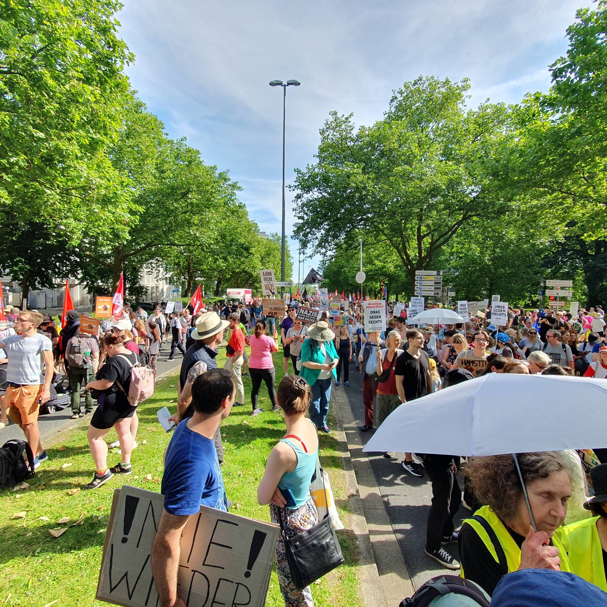 Auf 2 parallel verlaufenden Straßen, die von einem, Grünstreifen getrennt sind, gehen DemonstrantInnen mit Schildern und Sonnenschirmen. Der Himmel ist blau und im Hintergrund sind die grünen Kronen von hohen Bäumen zu sehen.