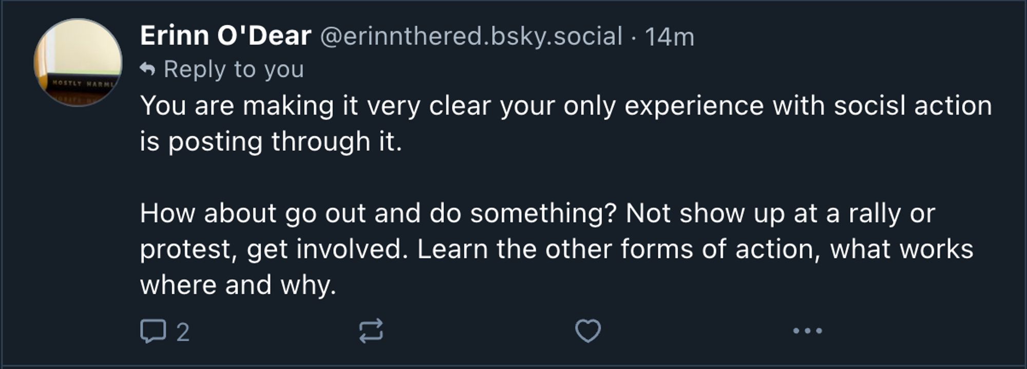 A person saying "You are making it very clear your only experience with social action is posting through it. How about go out and do something? Not show up at a rally or protest, get involved. Learn the other forms of action, what works where and why." To me!