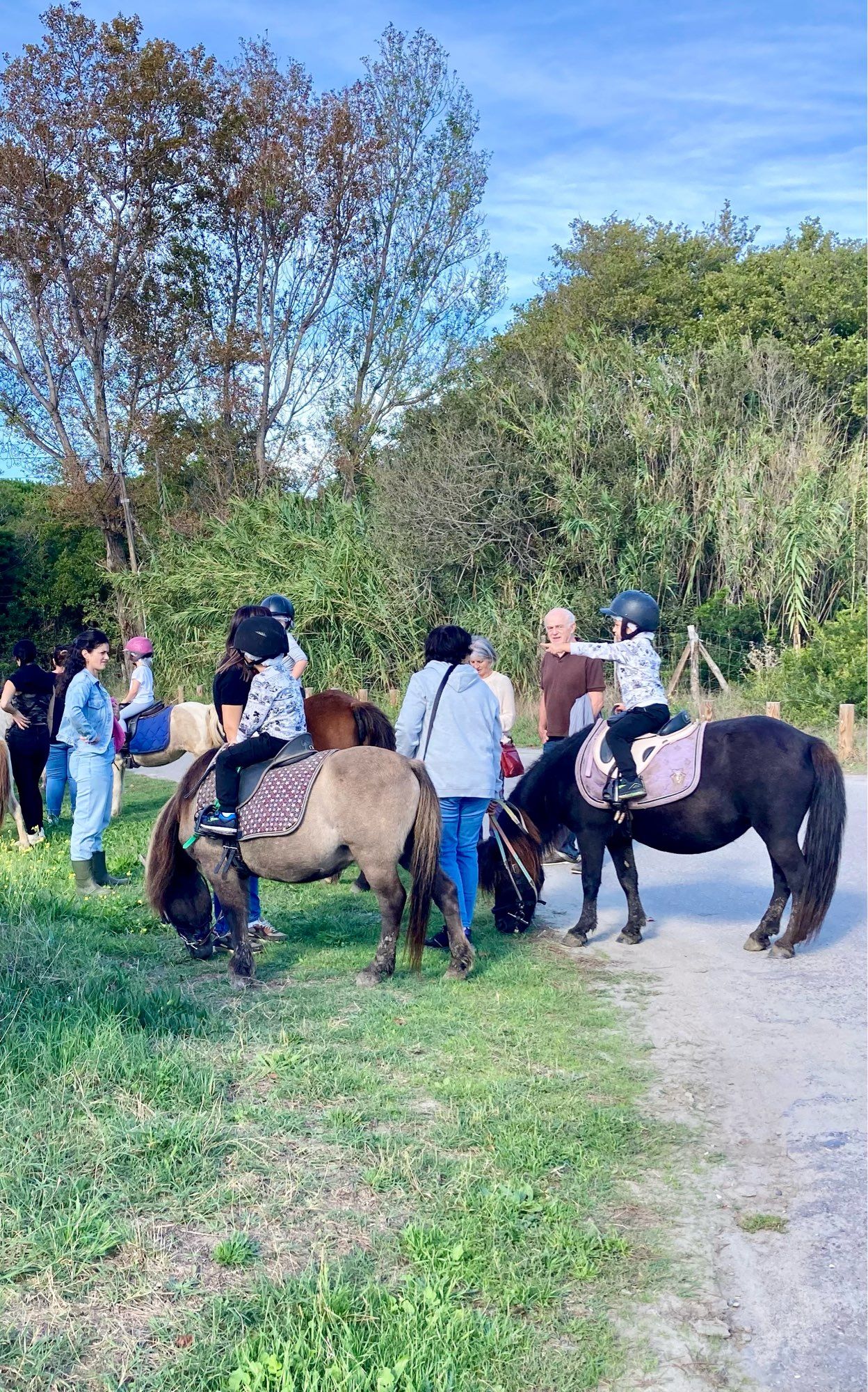 Groepje ouders met kindeten op pony’s.