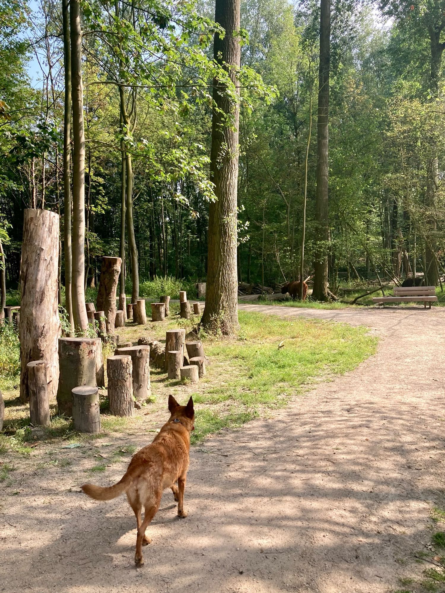 Langs de SchotseHooglanders.