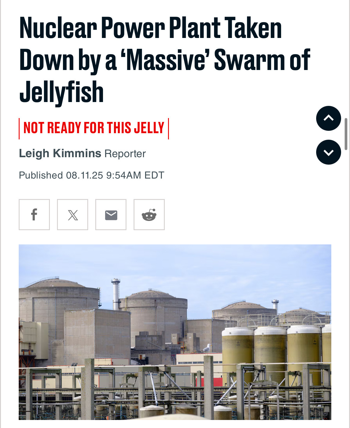 President Aquaman my people yearn for freedom 