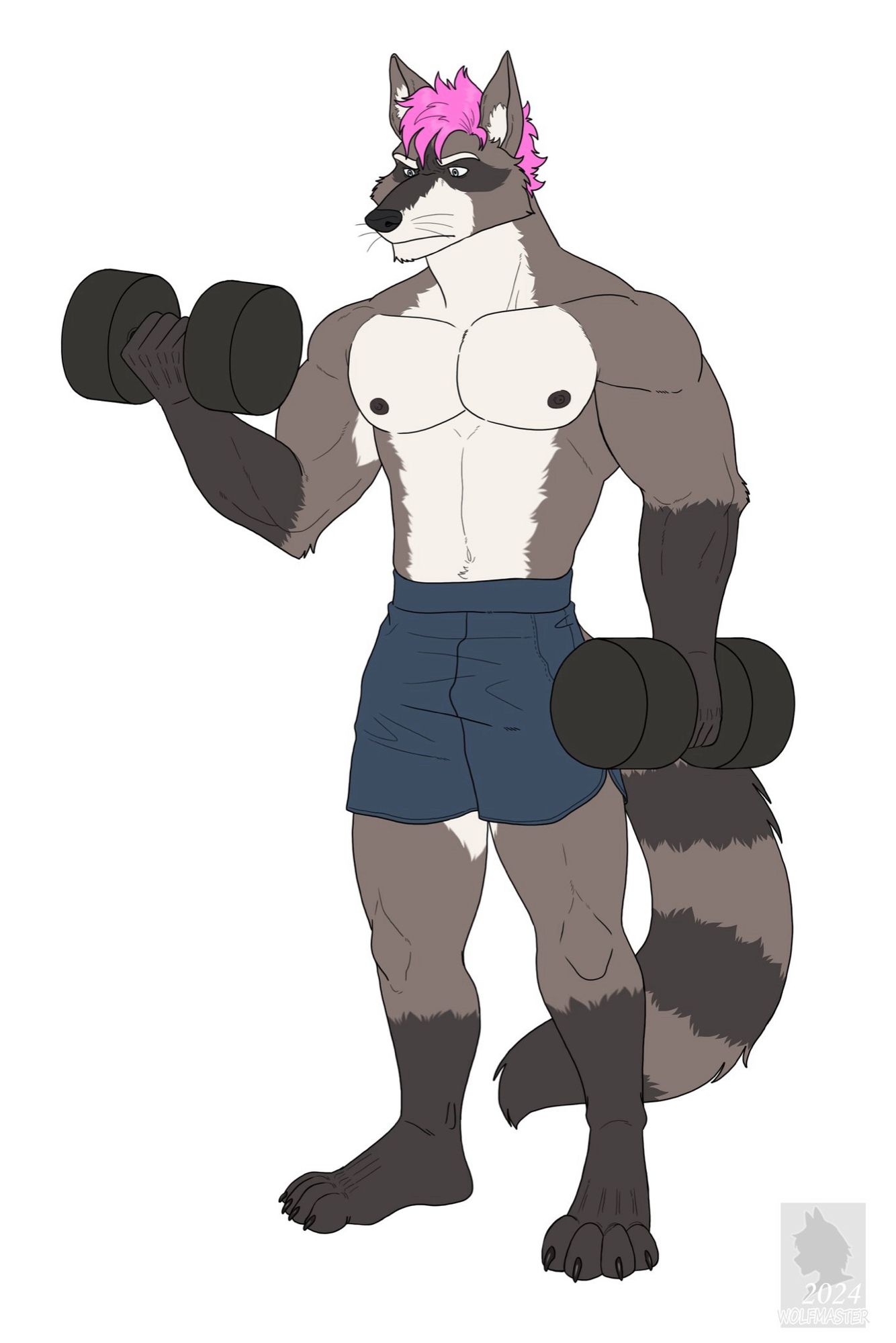 Robin (raccoon) doing bicep curls