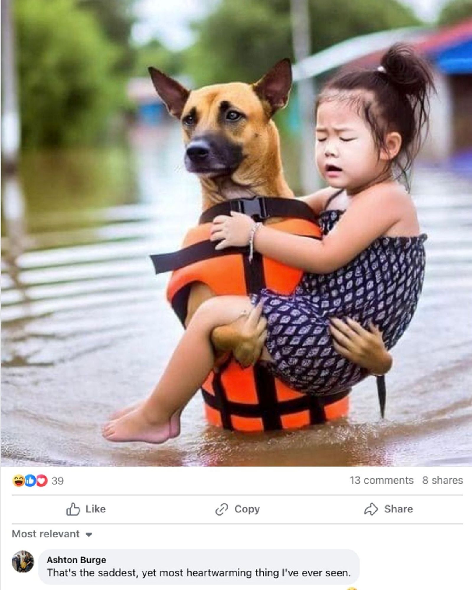 An ai image of a dog with human like hands standing upright in rain water saving a little girl from drowning and a comment from someone saying " that's the saddest yet most heartwarming thing I've ever seen " 39 likes on facebook