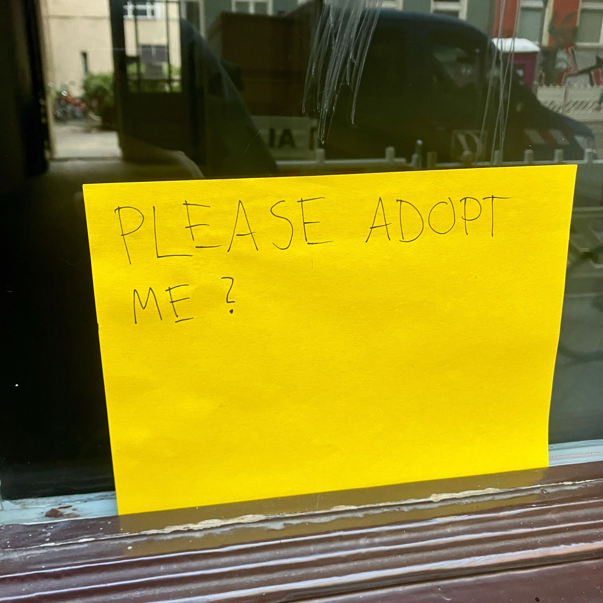 Ein gelbes Schild mit dem Text: please Adopt me?