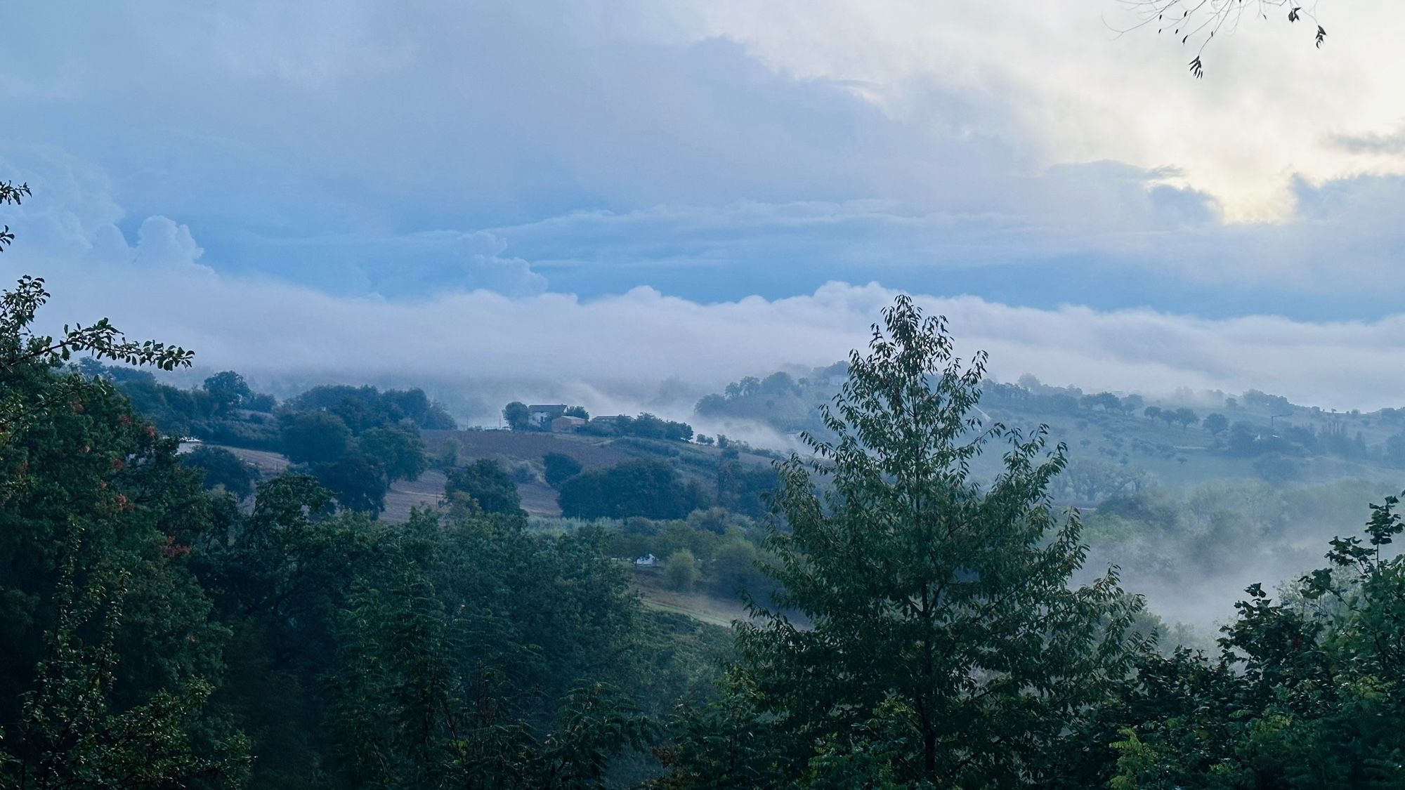 Le Marche landscape in morning mist.