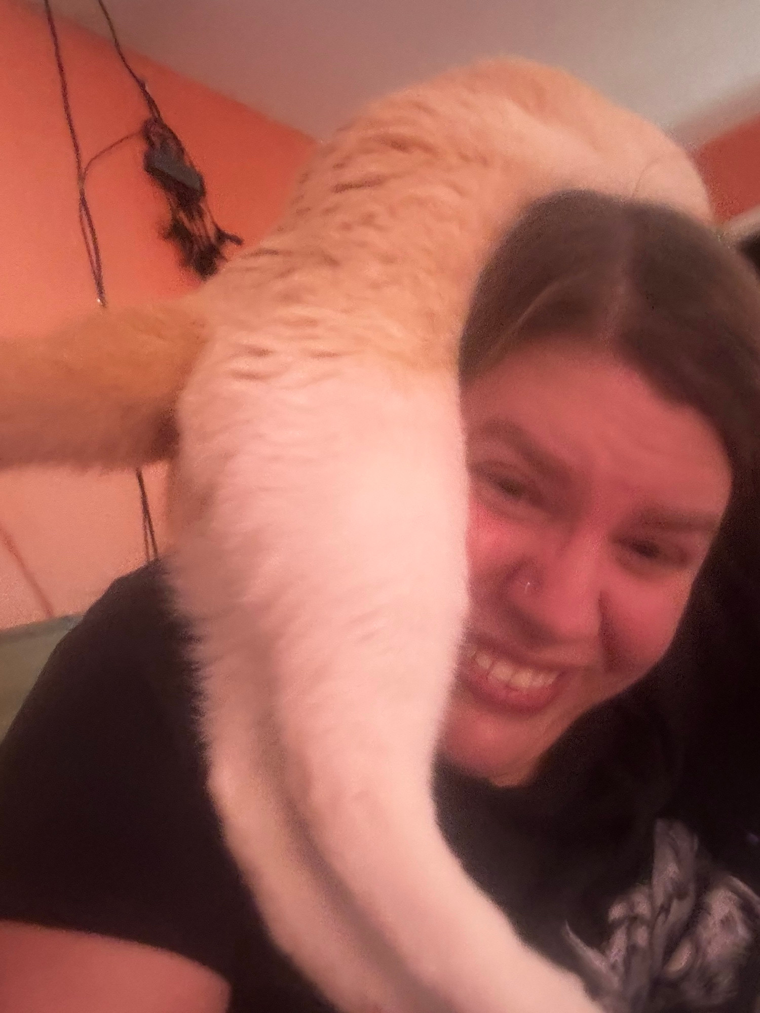 A cat laying on top of a woman who is laughing 