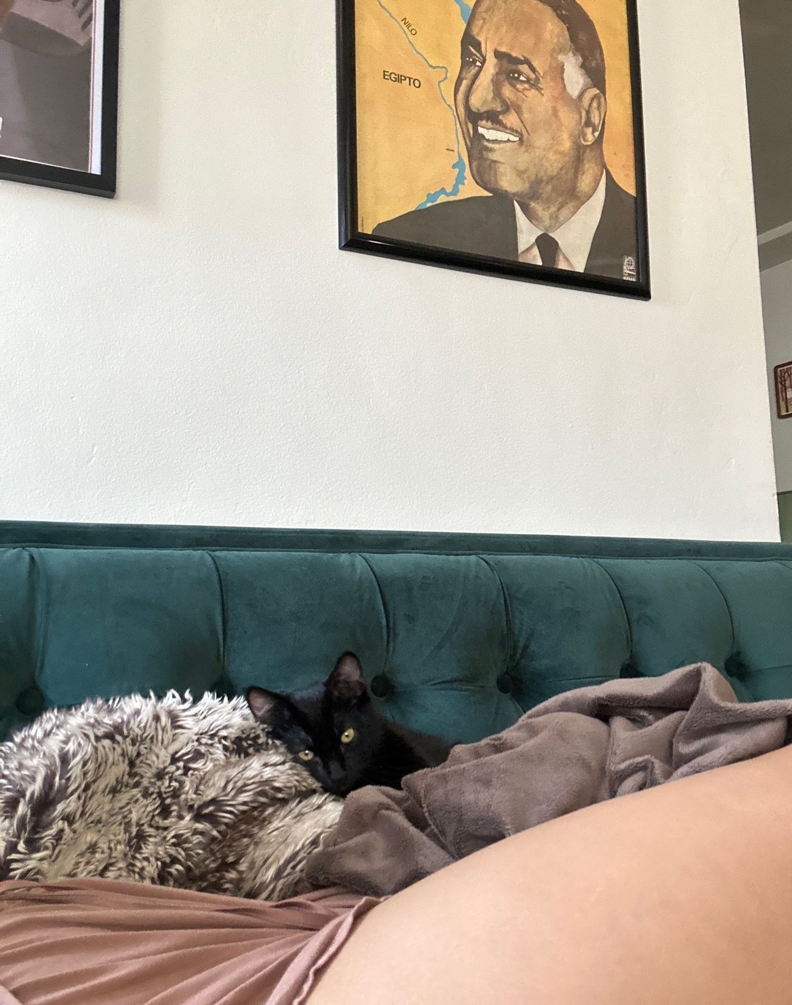 black kitten sitting on a green sofa