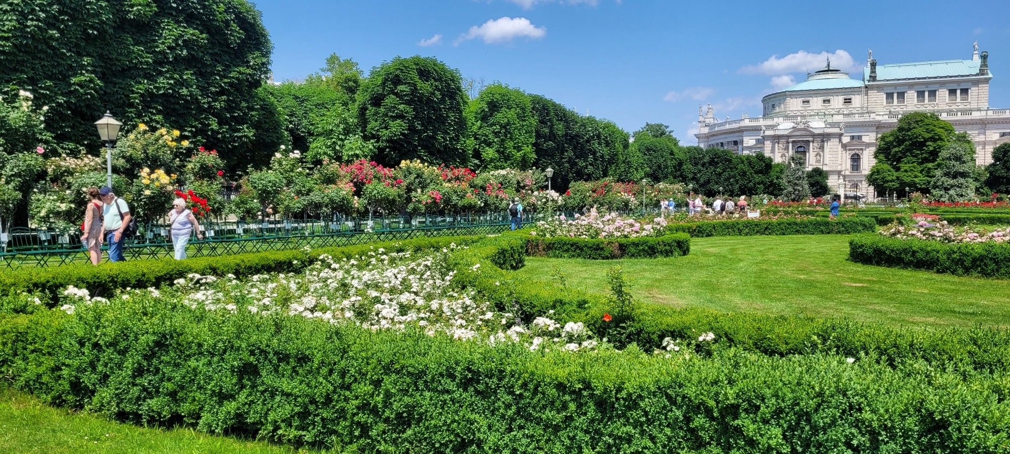 Rosengarten im Voksgarten Wien. Grüne Rasenflächen und dazwischen Rosenbeere. Menschen flanieren auf den Wegen.