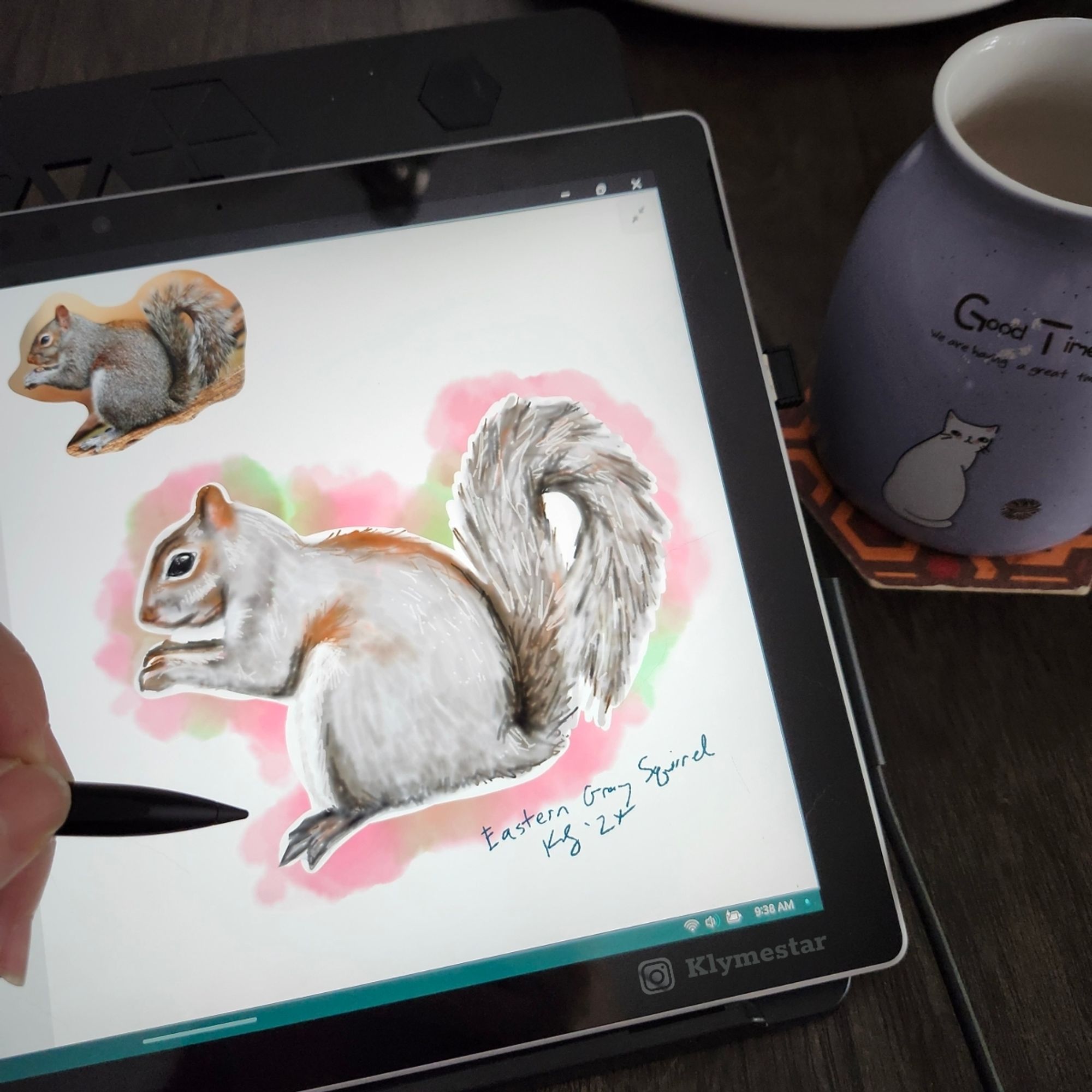 Digital watercolor of a gray squirrel Mammal of North Carolina