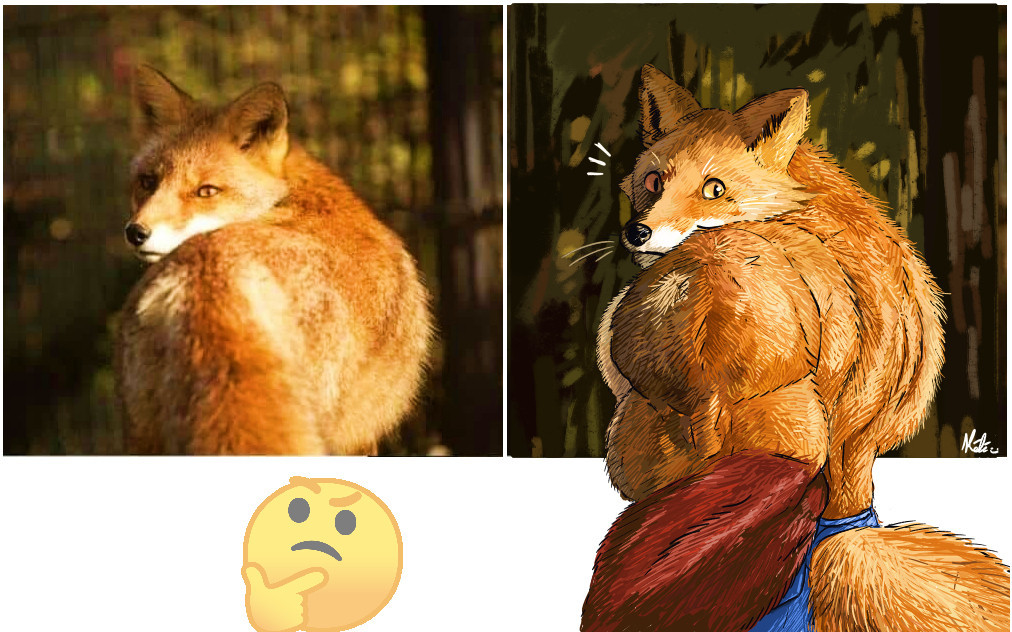 A picture of a fox to the left and an illustration I made to the right.
The position of the fox make it look like it's side is actually looking like a wide back and the tail a broad shoulder. 

The illustration I made display the buff fox the left pose made me see, though it might just be me (?)