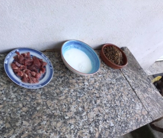 Lunch is served,Sirloin steak,fresh milk from the barn and Friskies biscuits...