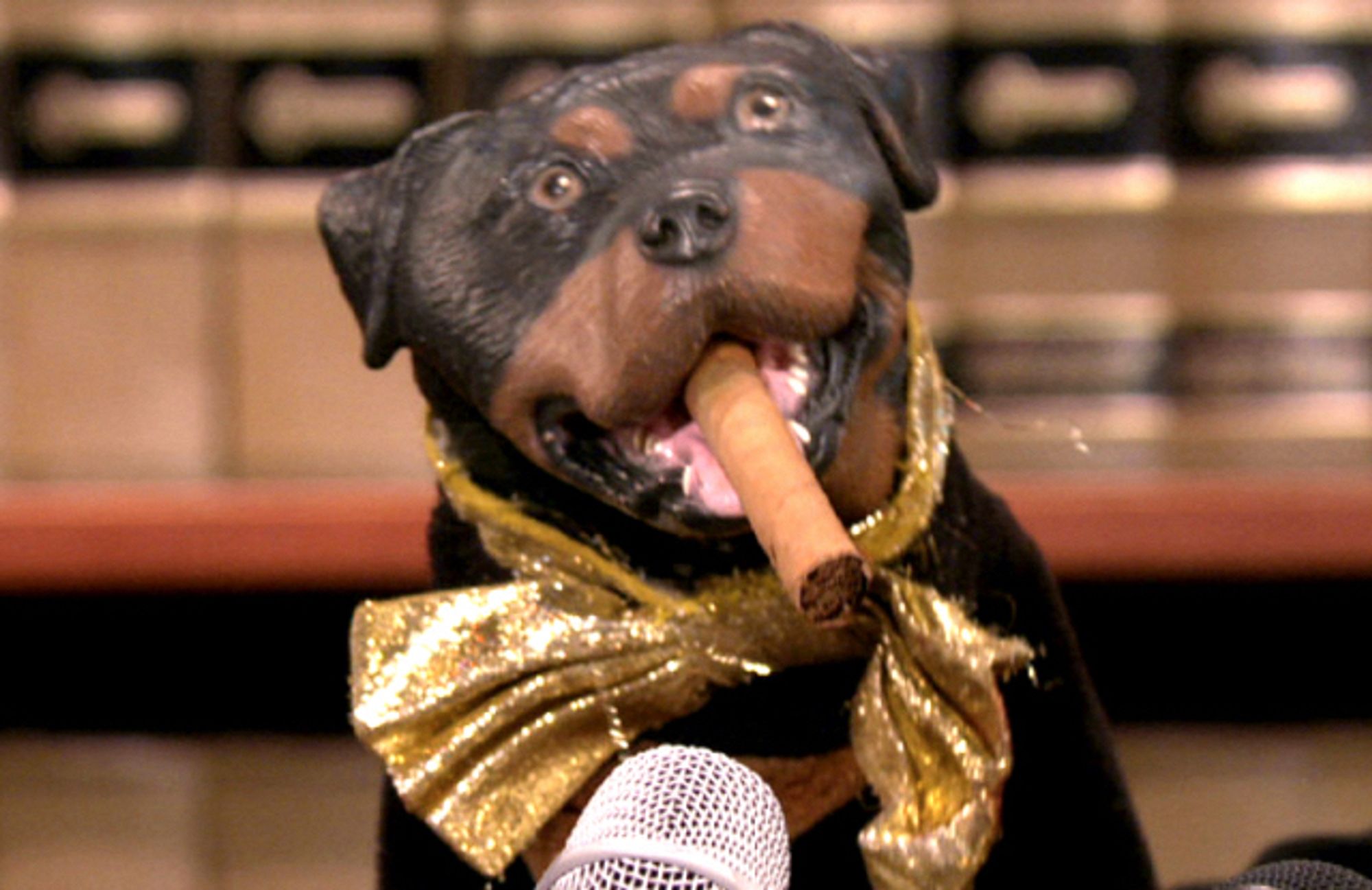 Triumph the Insult Comic Dog