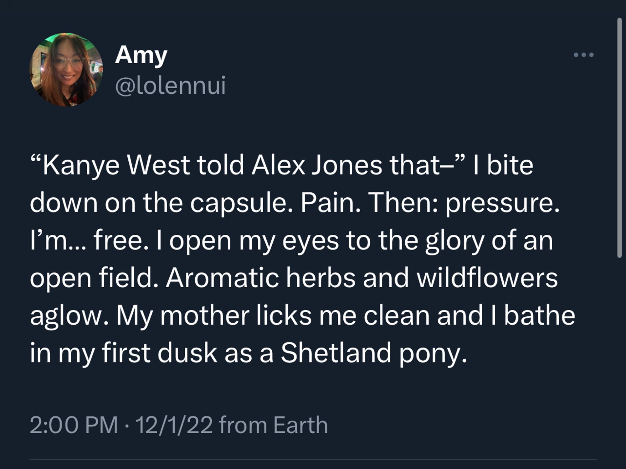 My own tweet from December 2022: “Kanye West told Alex Jones that–” I bite down on the capsule. Pain. Then: pressure. I’m… free. I open my eyes to the glory of an open field. Aromatic herbs and wildflowers aglow. My mother licks me clean and I bathe in my first dusk as a Shetland pony.