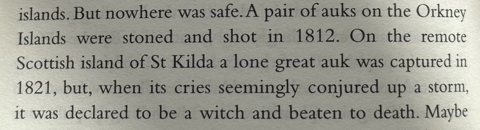 islands. But nowhere was safe. A pair of auks on the OrkneyIslands were stoned and shot in 1812. On the remote Scottish island of St Kilda a lone great auk was captured in1821, but, when its cries seemingly conjured up a storm,it was declared to be a witch and beaten to death. Maybe...