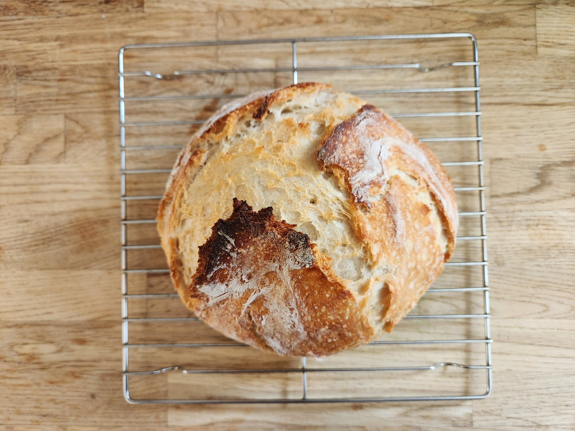 Overhead shot of a butcherblock countertop and a square, wire cooling rack. On it is a round loaf of crusty, chewy bread