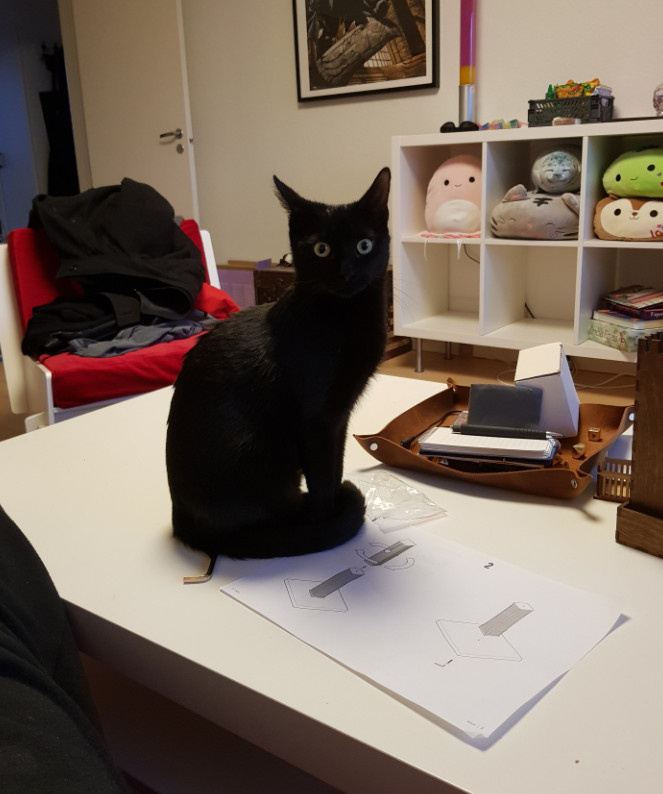 A very small black cat sitting on a coffee table and looking at the camera with big yellow eyes. Her expression seems slightly startled.