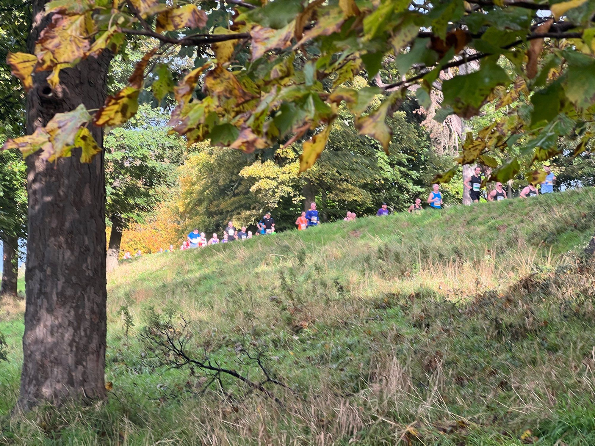 Marathon via phoenix park