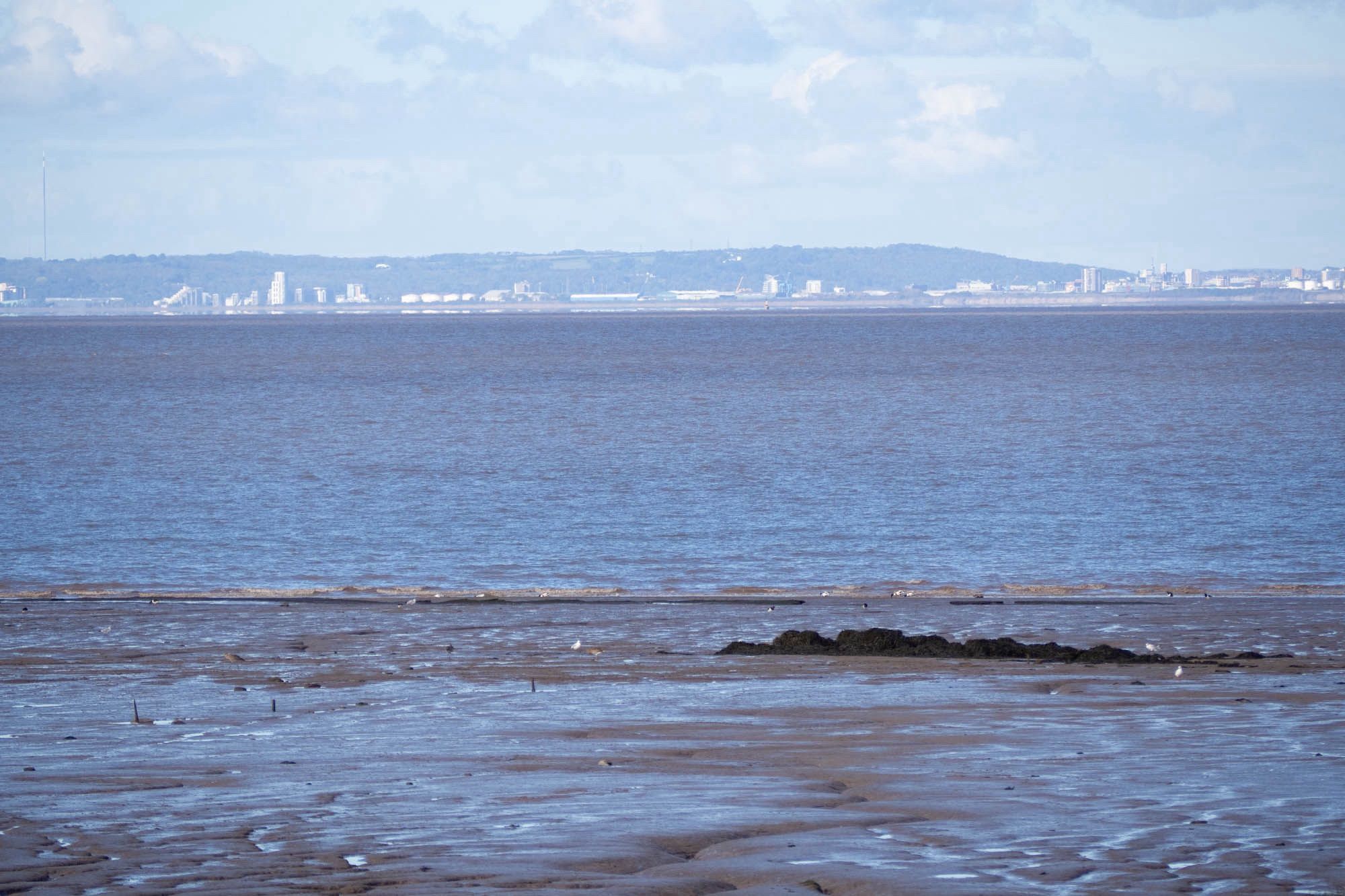 View across the Bristol channel. Foreground is mud with hard to see birds on it. There’s sea and then wales in the background